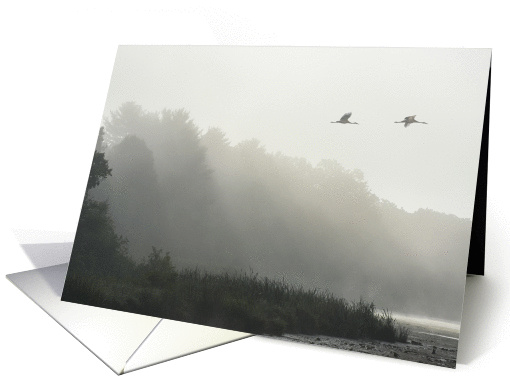 Cranes flying above a foggy lake blank card (1162932)