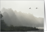 Cranes flying above a foggy lake blank card