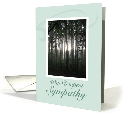 Sunlight passing through Forest Trees Sympathy card (949300)