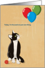 Cat Staring Up At Three Balloons, Happy Birthday card