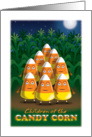 Candy Corn Halloween Humor card