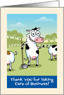 Taking Care of Business, Thank You, Humorous Cow Pun card