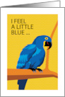 Missing You Hyacinth Macaw Alone on Branch card