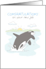 Congratulations New Job Big Splash card