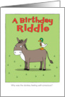 Funny Birthday Donkey and Duck Pun card