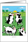 Funny Birthday Cows Dancing Mosh Pit Pun card
