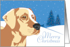 Christmas Yellow Labrador Retriever From Our Pack to Yours card