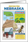 Greetings From Nebraska Symbols Fun Facts Nickname and Capitol Blank Inside card