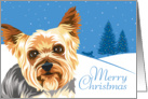 Christmas, Yorkshire Terrier, From Our Pack to Yours card