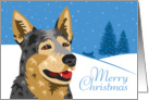 Christmas, Australian Cattle Dog, From Our Pack to Yours card