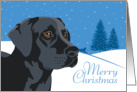 Christmas, Black Labrador Retriever, From Our Pack to Yours card