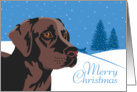 Christmas, Chocolate Labrador Retriever, From Our Pack to Yours card