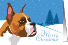 Christmas, Boxer, From Our Pack to Yours card