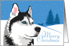 Christmas, Siberian Husky, From Our Pack to Yours card