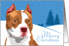 Christmas, American Pit Bull, From Our Pack to Yours card