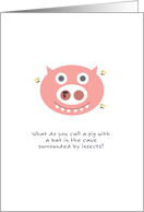 Birthday Humor, Cute Pig with Booger Surrounded by Flies Pun card