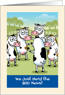 Congratulations, Job Promotion, Humorous Cow Pun card