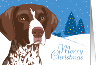 Merry Christmas, German Shorthaired Pointer card