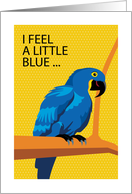 Missing You Hyacinth Macaw Alone on Branch card