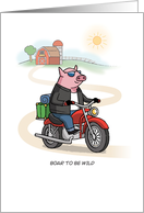 Congratulations Moving Out On Your Own Pig On Bike Pun card