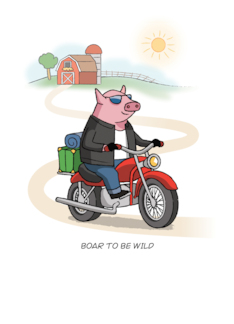 Congratulations Moving Out On Your Own Pig On Bike Pun