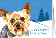 Christmas, Yorkshire Terrier, From Our Pack to Yours card