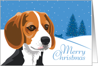 Christmas, Beagle, From Our Pack to Yours card