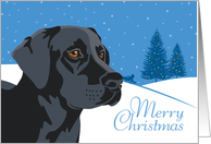 Christmas, Black Labrador Retriever, From Our Pack to Yours card