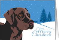 Christmas, Chocolate Labrador Retriever, From Our Pack to Yours card