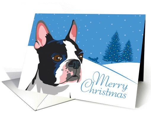 Christmas, Boston Terrier, From Our Pack to Yours card (951517)