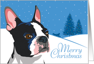 Christmas, Boston Terrier, From Our Pack to Yours card