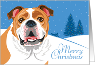 Christmas, Bulldog, From Our Pack to Yours card