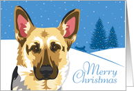 Christmas, German Shepherd, From Our Pack to Yours card