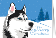 Christmas, Siberian Husky, From Our Pack to Yours card