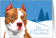 Christmas, American Pit Bull, From Our Pack to Yours card