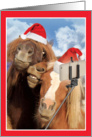 Holiday Animal Selfie Christmas Card - Horses card