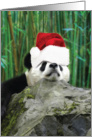 Holiday Pooped Pandas Christmas card