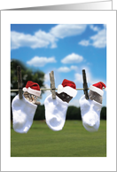 Hang in There This Holiday Christmas Kittens in Socks card