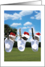 Hang in There This Holiday Christmas Kittens in Socks card