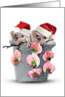 Holiday Cards from the Hedge Christmas Card - Flower Basket card