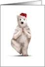 Yuletide Zoo Yoga Polar Bear Christmas card