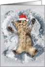 Critter Snow Angel Featuring a Cute and Cuddly Kitten for Christmas card