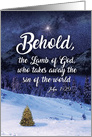 Christmas Quotes John 1:29 with Biblical Holiday Words For the Soul card