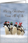 Penguins and Greetings From Us: Funny Christmas card