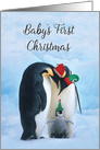 Penguins First Christmas as Parents Baby’s First Christmas card