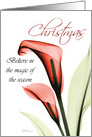 Christmas Spirit Greeting Card Featuring Magical Lilies Blooming card