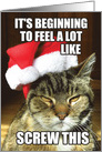 Screw This Humorous Christmas Greeting Card Featuring a Mad Cat card