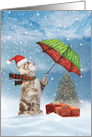 Cat Christmas Humor Greeting Card Featuring Umbrella Wielding Kitty card