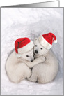 Bear Hugs: With Santa’s Hat Wearing Lovable Polar Bear Cubs Cuddling card