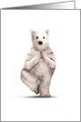 Zoo Yoga Creative Thank You Featuring a Polar Bear Striking a Pose card